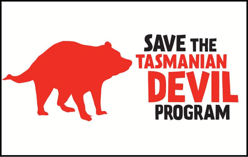 save-tasmanian-devil